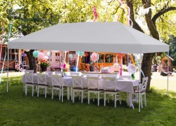 10 X 20 Instant Canopy