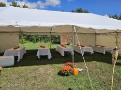 20240928 125515 1727794890 20' x 40' Frame Tent