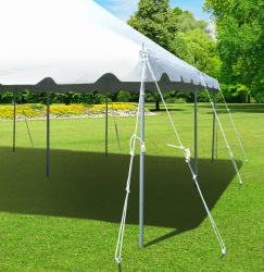 IMG 6457 1753897592 20 x 40 Premium Pole Tent