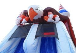 IMG 2179 1739591813 Mega Bald Eagle Double Lane Wet/Dry Bounce House Combo