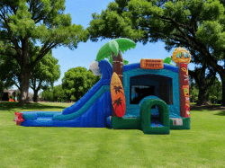 Aloha Bounce Slide Combo Dual Lane Wet/Dry